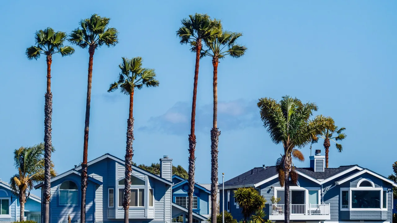 Palm-lined residential neighborhood street